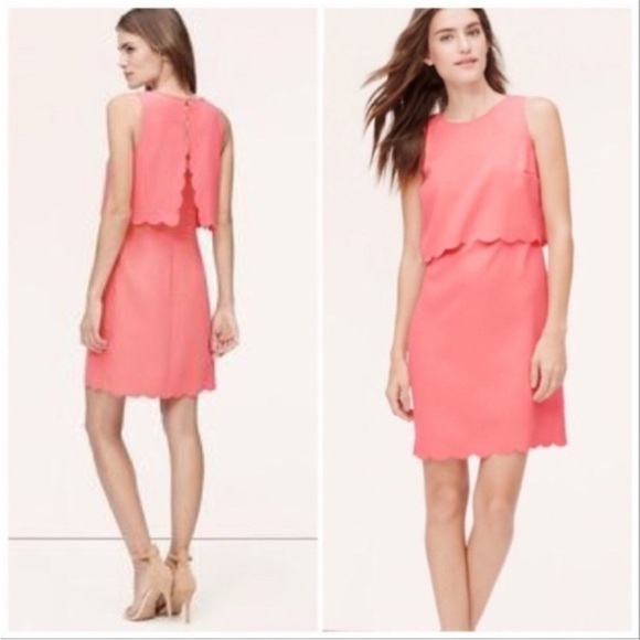 LOFT Dresses & Skirts - Loft Coral Pink Scalloped Dress